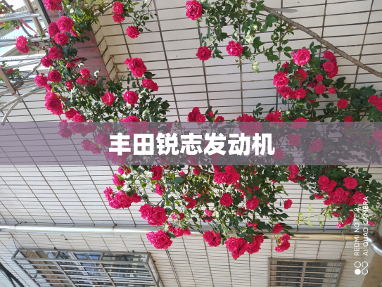 丰田锐志发动机
