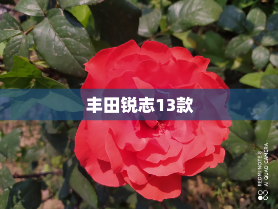 丰田锐志13款