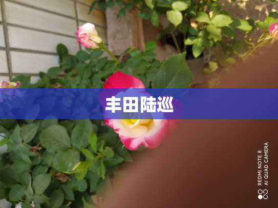 丰田陆巡