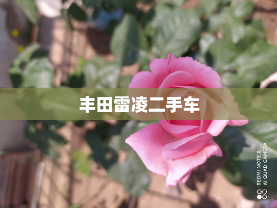 丰田雷凌二手车