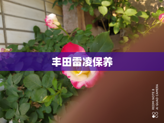 丰田雷凌保养