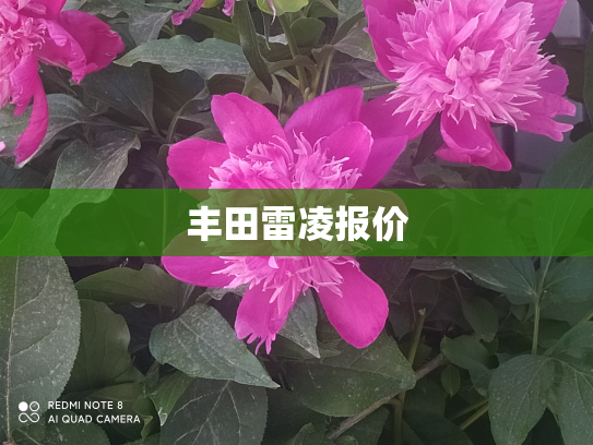 丰田雷凌报价