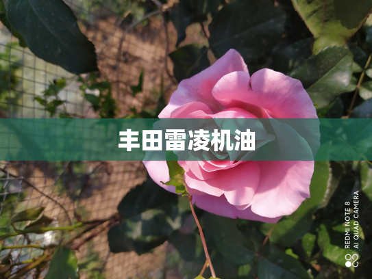 丰田雷凌机油