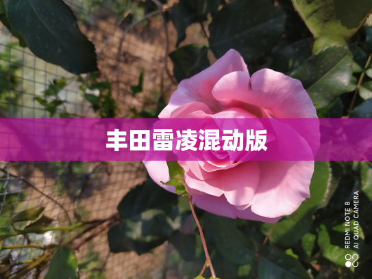 丰田雷凌混动版