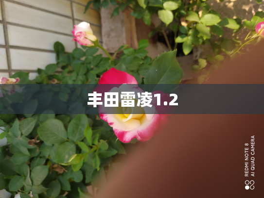 丰田雷凌1.2