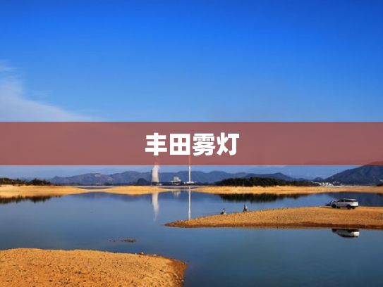 丰田雾灯