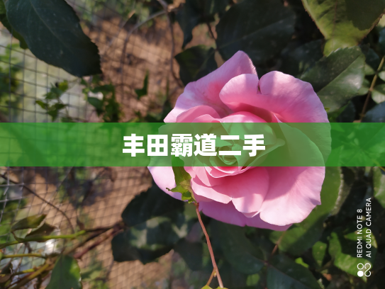 丰田霸道二手