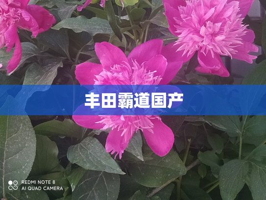 丰田霸道国产