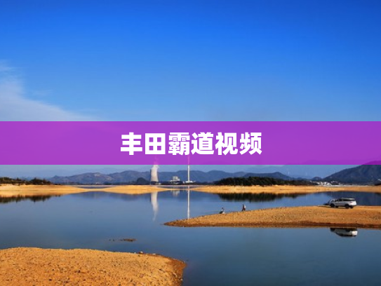 丰田霸道视频