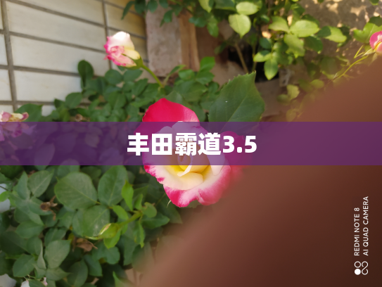 丰田霸道3.5