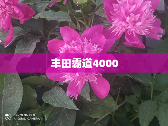 丰田霸道4000
