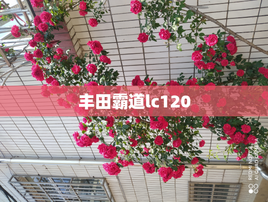 丰田霸道lc120