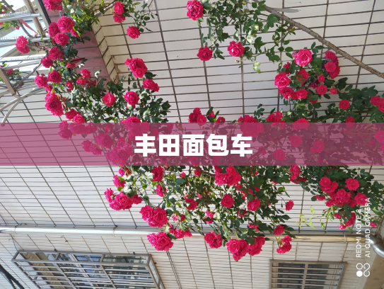 丰田面包车