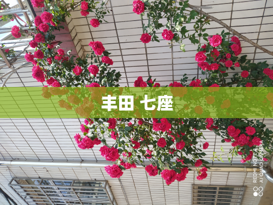丰田 七座