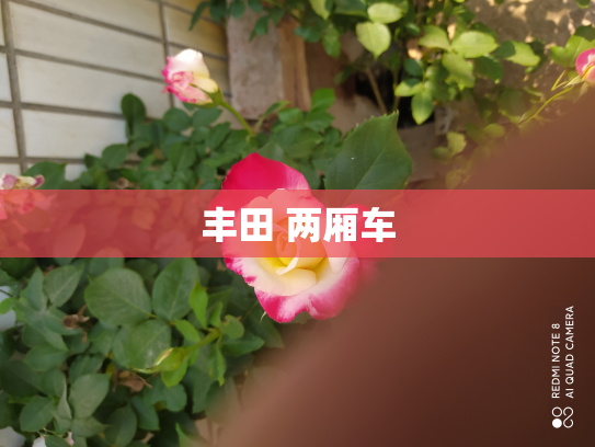 丰田 两厢车