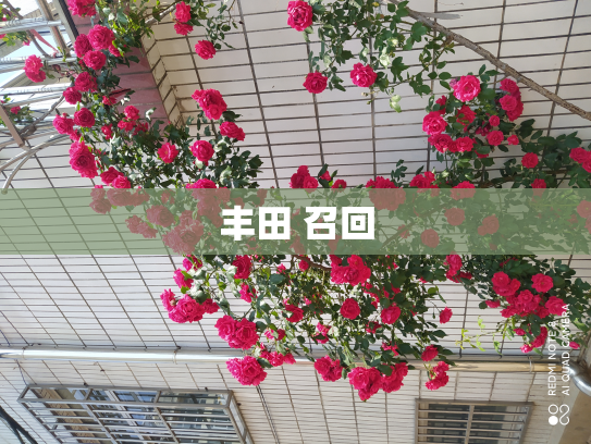 丰田 召回