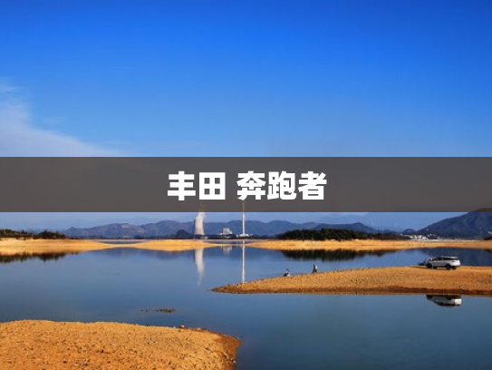丰田 奔跑者
