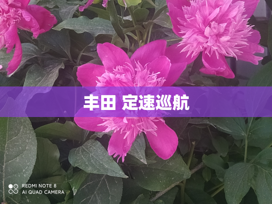 丰田 定速巡航