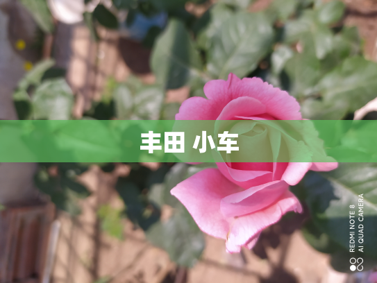 丰田 小车