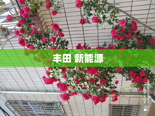 丰田 新能源