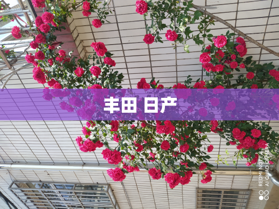 丰田 日产