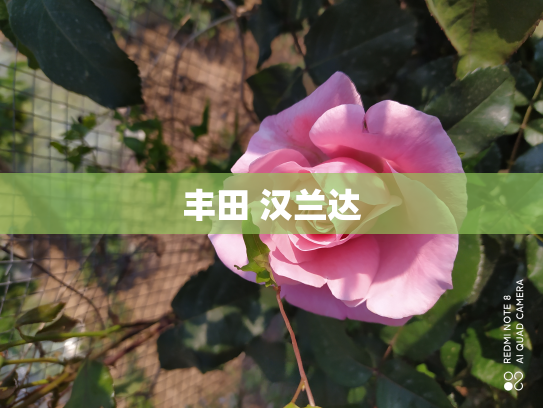 丰田 汉兰达