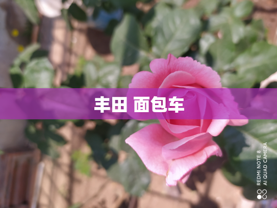 丰田 面包车