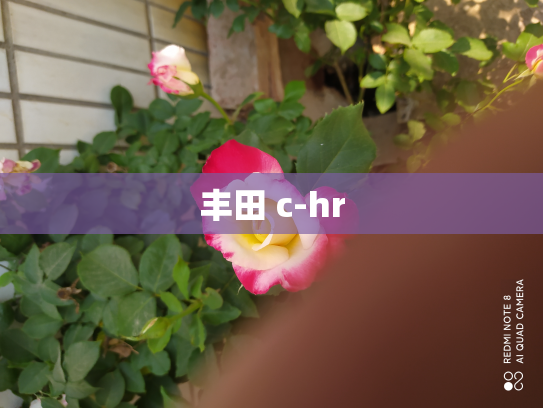 丰田 c-hr