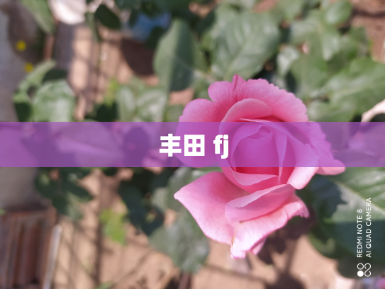 丰田 fj