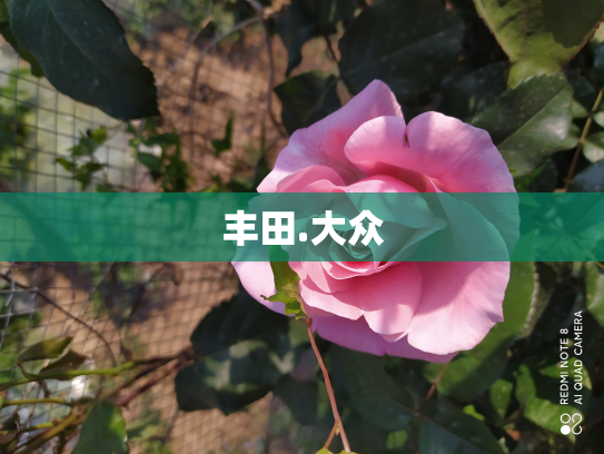 丰田.大众