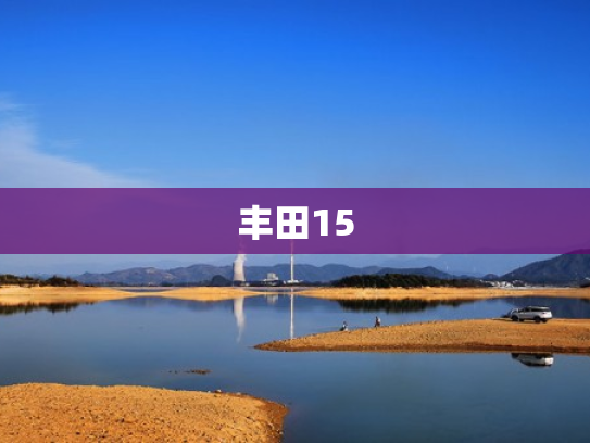 丰田15