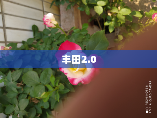 丰田2.0