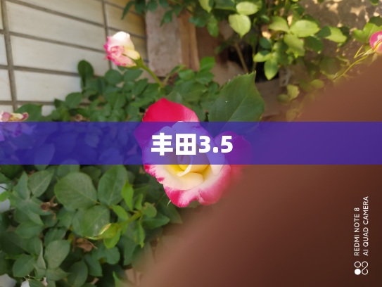 丰田3.5