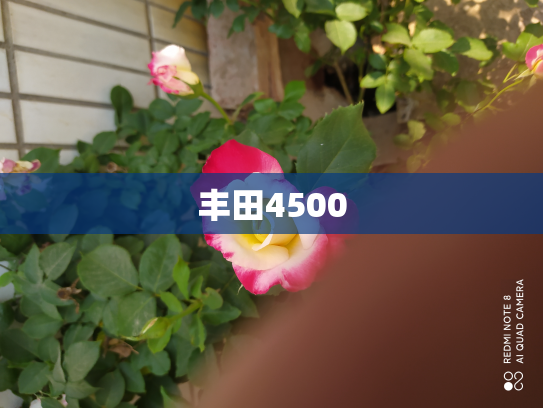 丰田4500