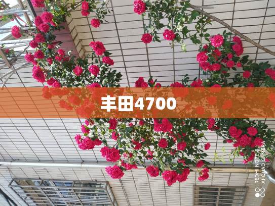 丰田4700