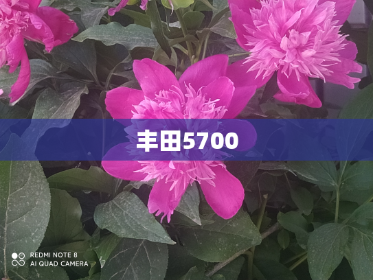 丰田5700