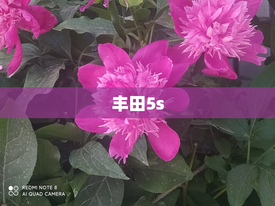 丰田5s