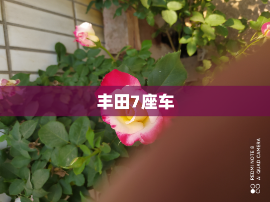 丰田7座车