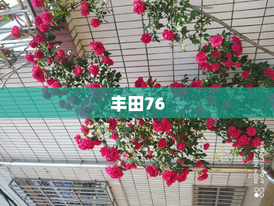 丰田76
