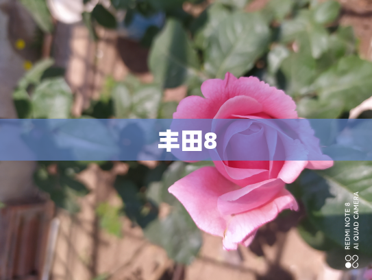 丰田8