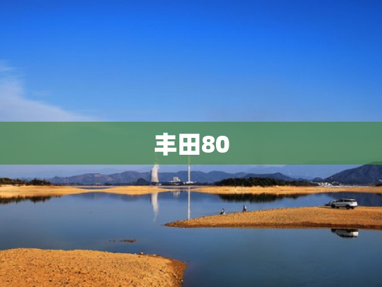 丰田80