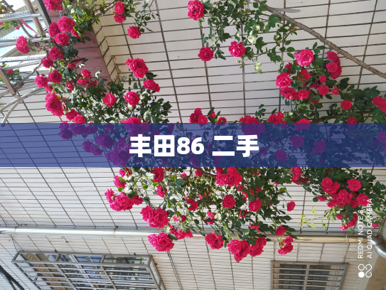 丰田86 二手