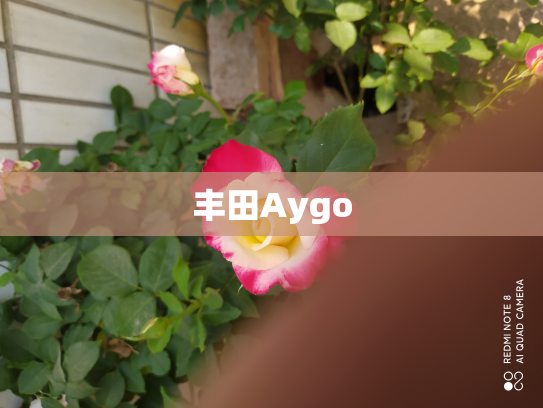 丰田Aygo