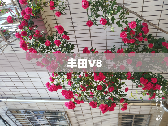 丰田V8