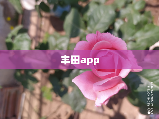 丰田app
