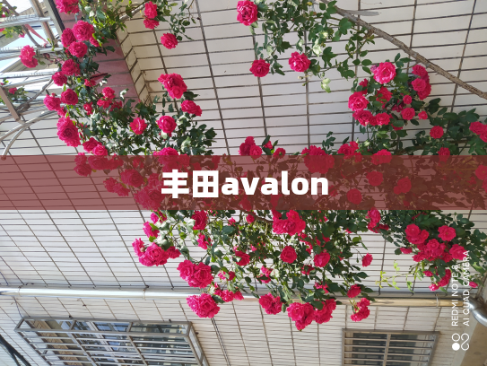 丰田avalon