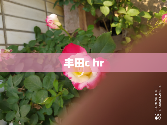 丰田c hr