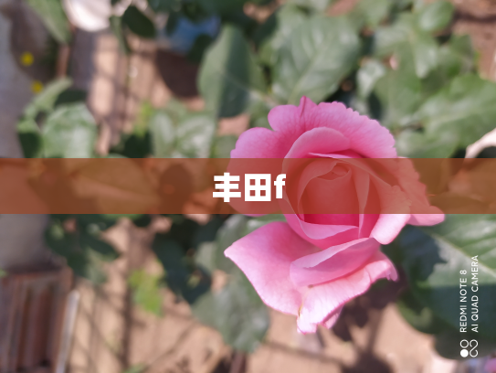 丰田f