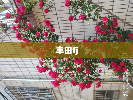 丰田fj