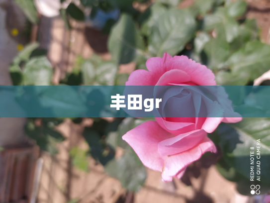 丰田gr